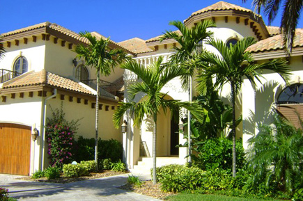 Palms On Front Lawn